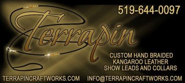 Terrapin Craftworks